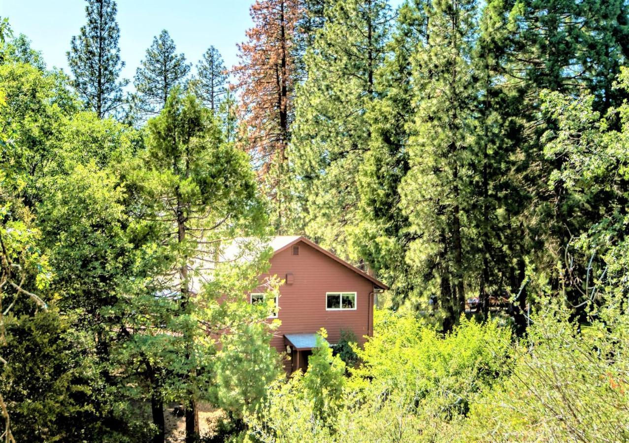 Villa Sequoia Trails, Mountains, Fun & Relax Ponderosa Exterior foto